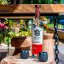 Seňor Sotol Ensamble 0,7l 43%
