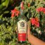 Seňor Sotol Ensamble 0,7l 43%